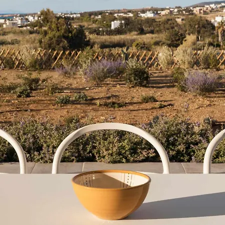 Golden Coast Daphne Private Wadingpool Gem Chrisi Akti (Paros)